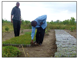 http://www.riekookenya.org/images/Programs_Edu.jpg
